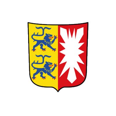 Elektroschrott Entsorgung Schleswig-Holstein
