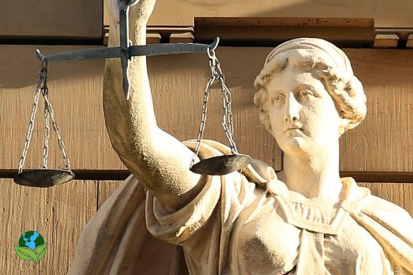 Elektroschrott Entsorgungsvorschriften notwendig für Umweltschutz