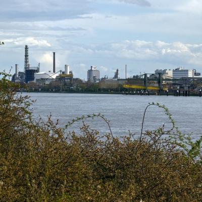 Elektroschrott Entsorgung Ludwigshafen